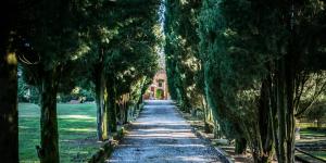 Castellina-de-miremont-4