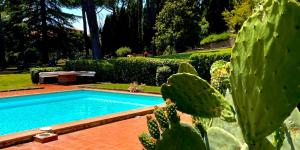 Castellina-de-miremont-6