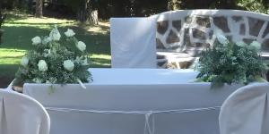 Castellina-de-miremont-new-6