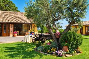 gallery-tenuta-cassia-antica-6 (1)